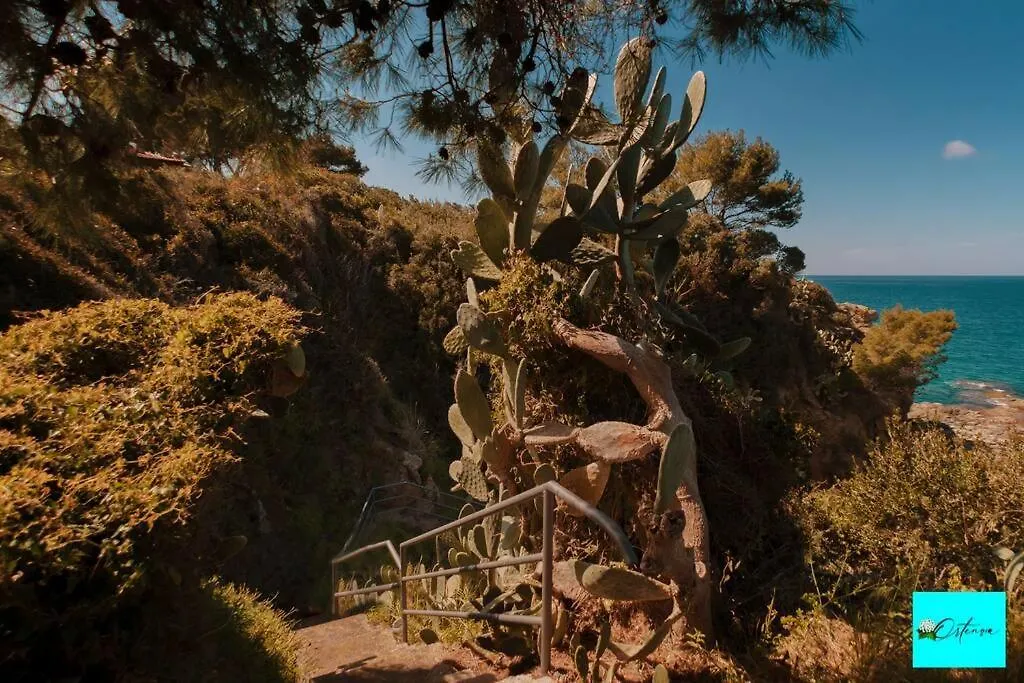 צ'פאלו Villa Ortensia